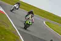 Lower Group Green Bikes